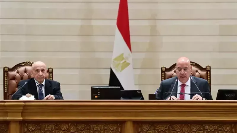 رئيس مجلس النواب و عقيلة صالح