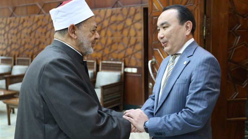 شيخ الأزهر خلال اللقاء 