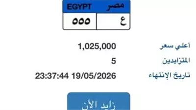 لوحة «ع - 555» تشعل مزاد المرور المصري بسعر يتجاوز المليون جنيه