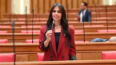 المغازي تشارك في لجنة العلاقات الخارجية للمحاسبات لتعزيز التعاون الرقابي والمؤسسي المشترك
