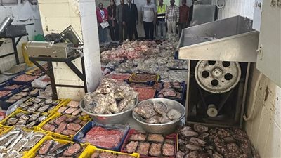 ضبط كميات ضخمة من اللحوم والدواجن غير صالحة للاستهلاك الآدمي في السويس 