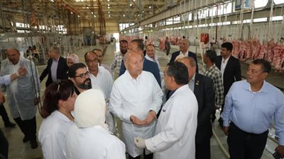 محافظ القاهرة يتفقد مجزر 15 مايو لمتابعة استعدادات أضاحي عيد المبارك 