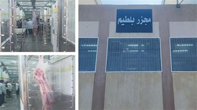 مفاجأة ضخمة في كفر الشيخ.. تطوير مجزر بلطيم يكشف تفاصيل غير متوقعة