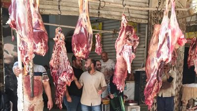 ضبط 6 أطنان لحوم ودواجن فاسدة قبل عيد الأضحى في حملات مكبرة بالجيزة