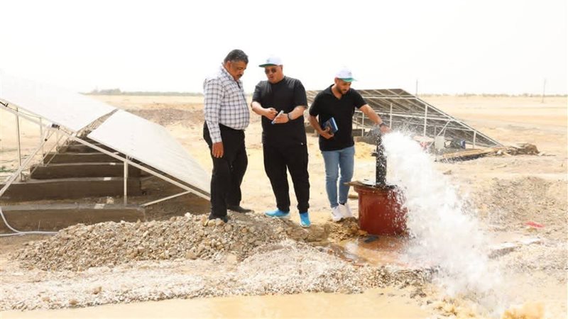 مشروع الواحات الخضراء بالوادي الجديد 