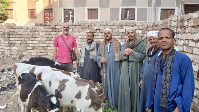 اسيوط