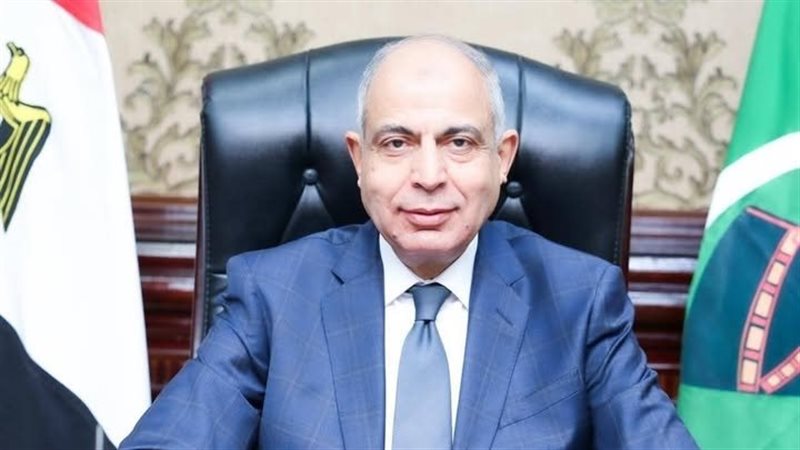 محافظ المنيا  