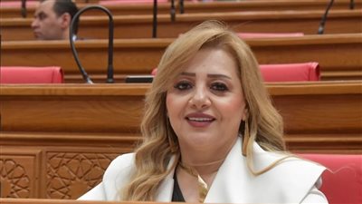 هبة غالي: جولة رئيس الوزراء بالجيزة تؤكد انحياز الدولة لاحتياجات المواطن