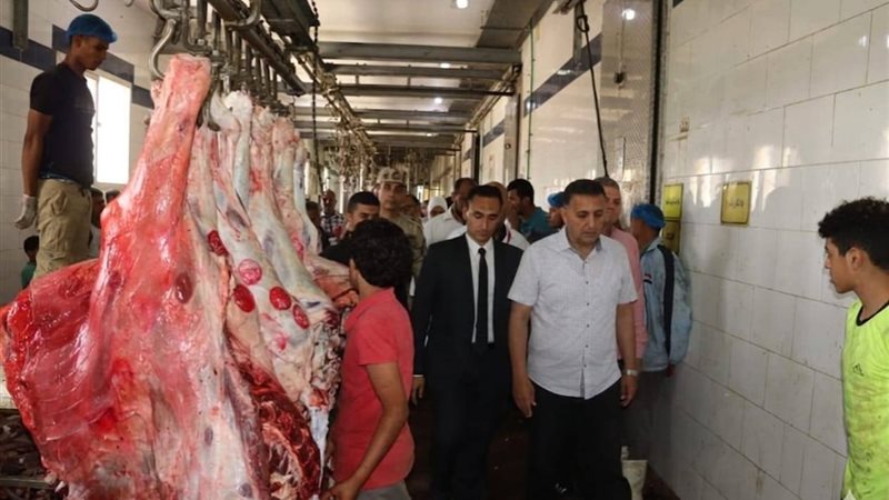 محافظ القليوبية يتفقد مجزر 