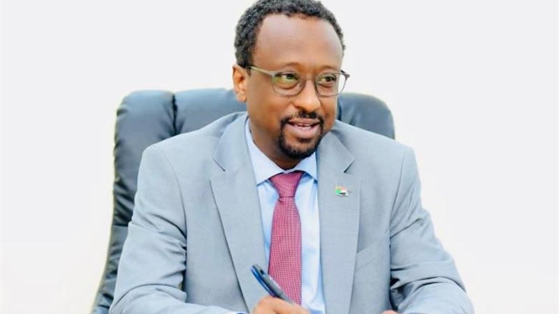 وزير الإعلام السوداني 