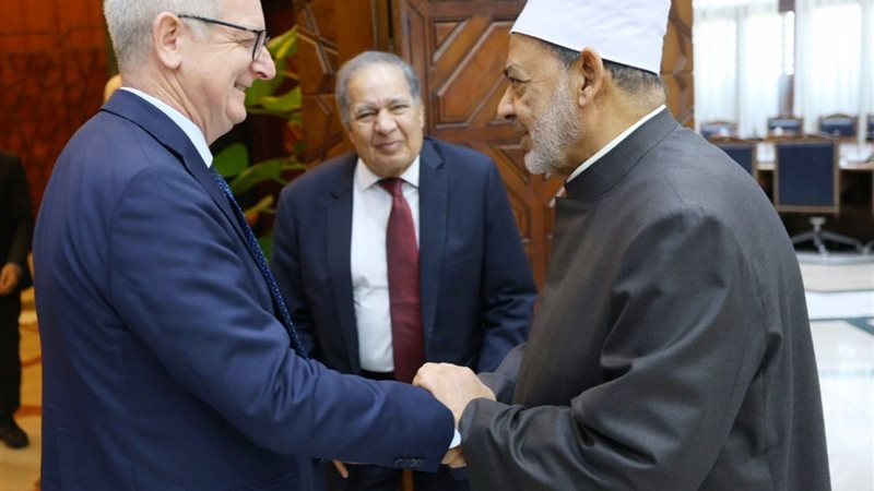 شيخ الأزهر خلال استقباله سفير أيرلندا 
