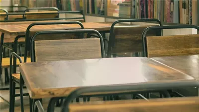 شبكة اتصالات خارقة داخل العقل.. دراسة تكشف كيف يعيد 