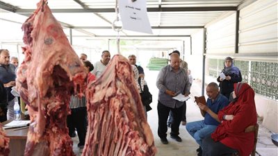 انطلقت اليوم فعاليات مبادرة اللحوم المدعومة من محافظة الوادي الجديد