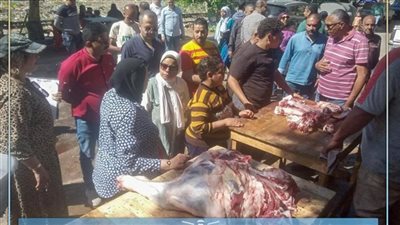 غلق منشآت مخالفة وإعدام أغذية فاسدة خلال حملات رقابية بالإسكندرية..وهذه عقوبة الجريمة