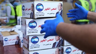 «أضحى الخير» والتوجيهات الرئاسية.. مبادرة جديدة لإعادة البهجة للبيوت المصرية