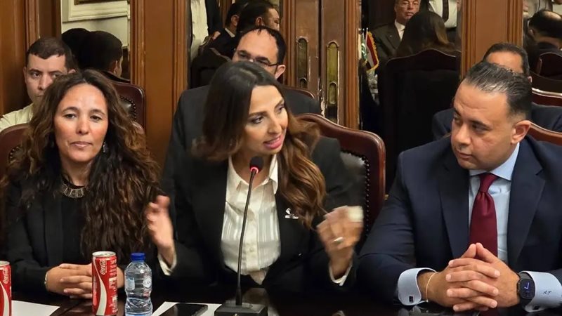 النائبة نشوي الشريف، عضو مجلس النواب 