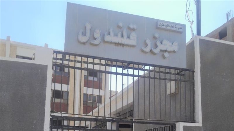 المنيا 