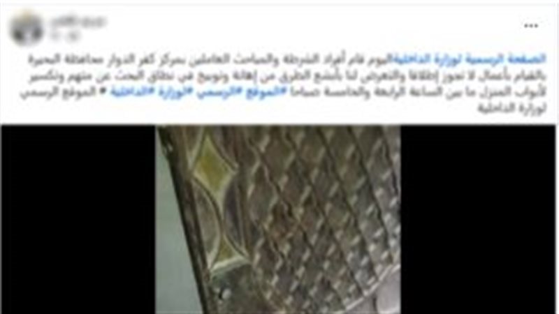 الفيديو 
