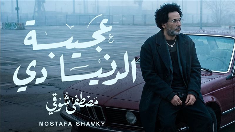 مصطفى شوقي