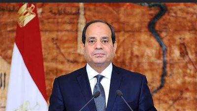 نواب: توجيهات الرئيس السيسي بالتوسع في التعليم العالي تعزز مكانة مصر عالميًا