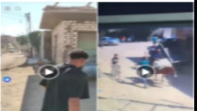 مشاجرة بمطاي تتحول إلى ادعاءات طائفية والأمن يكشف الحقيقة ويضبط أطراف الواقعة