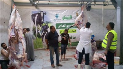 327 ذبيحة بالمجازر الحكومية في ثاني أيام العيد بأسيوط