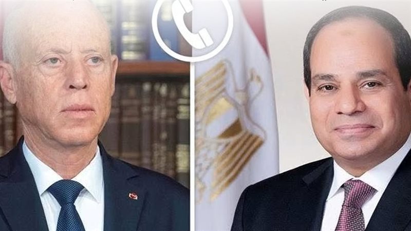 الرئيس عبد الفتاح السيسي ونظيره التونسي