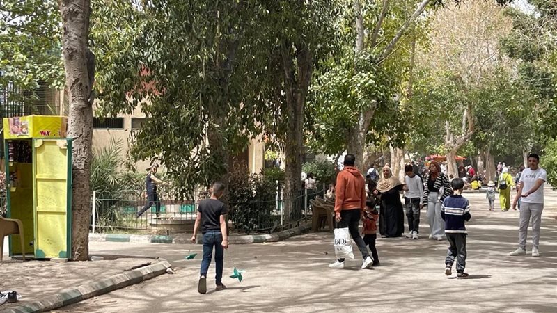 حديقة الأسماك بالزمالك
