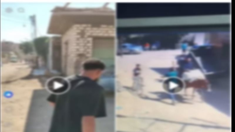 المنشور المتداول 