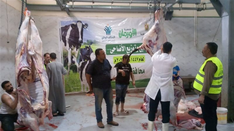 اسيوط