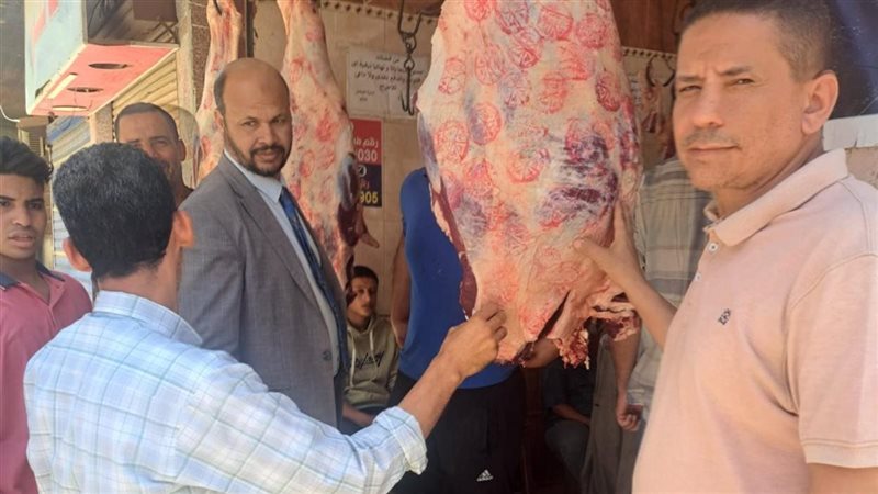 المنيا 