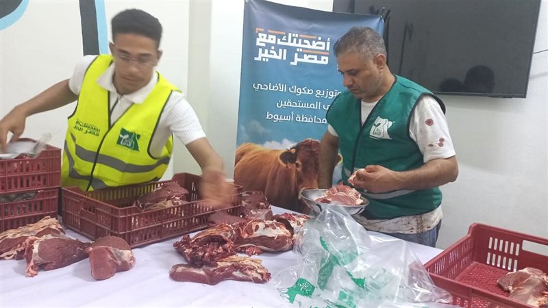 اسيوط