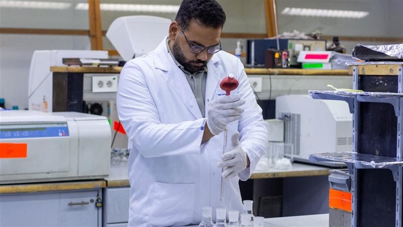 الزراعة 