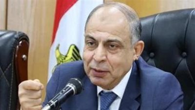 محافظ المنيا يستجيب لاستغاثة أم ويوجه بتوفير فرصة عمل لأحد أبنائها