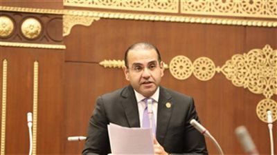 نائب بالشيوخ: دعم الصناعات المغذية مفتاح خفض فاتورة الواردات وتحقيق التنمية الصناعية