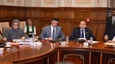 اقتصادية الشيوخ توجه تساؤلات حاسمة للحكومة حول خطة التنمية الاقتصادية
