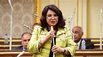 عضوة بخطة النواب: الاستثمار في التعليم والبحث العلمي هو الأجدى لمستقبل الوطن