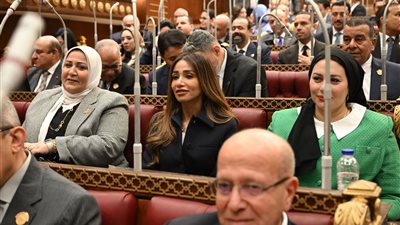 35 مليار دولار خلال 9 أشهر.. نائبة تشيد بنمو تحويلات المصريين بالخارج
