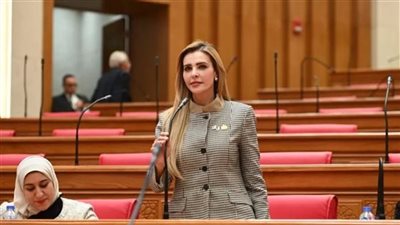 أزمة إدارية تعرقل العمل البحثي.. طلب إحاطة حول أوضاع المعهد القومي للبحوث الفلكية