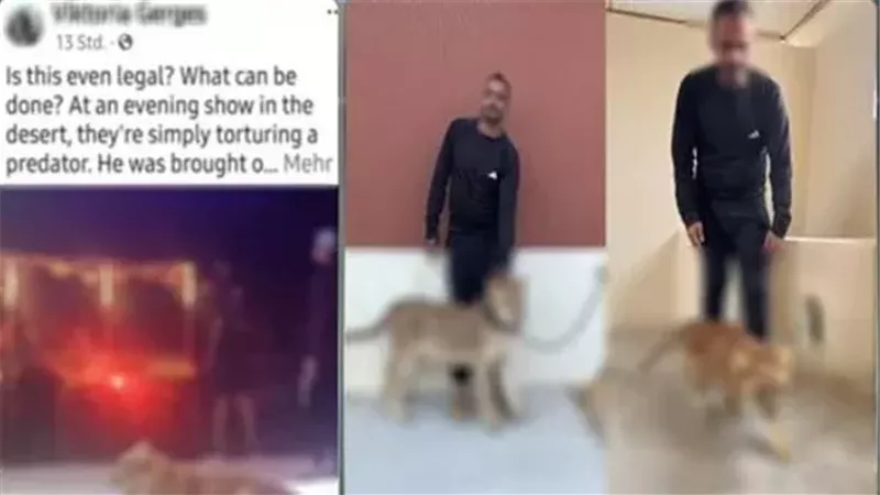 المتهمان عقب القبض عليهما