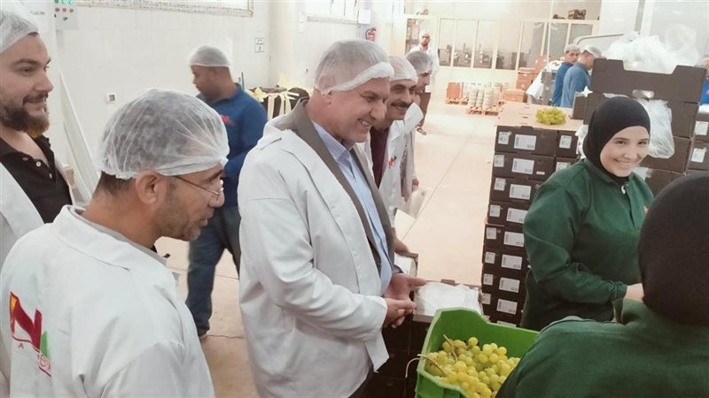 الزراعة 