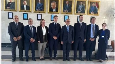 مشاورات مصرية فرنسية لبحث أزمات المنطقة ومستقبل الأمن الإقليمي