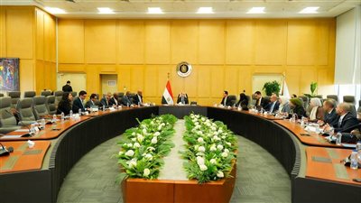 وزير الاستثمار يبحث مع مؤسسة التمويل الدولية تطوير بيئة الأعمال والتحول الرقمي
