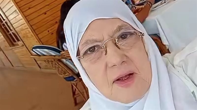 شمس البارودي