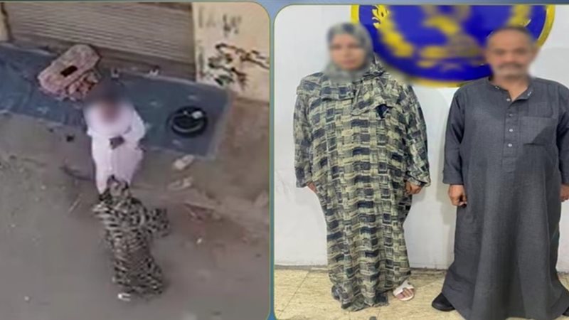 المتهمين 