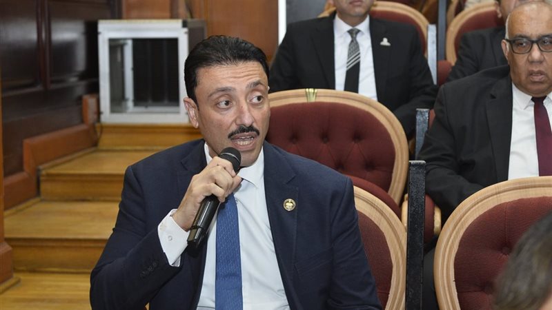 النائب محمد رزق عضو مجلس الشيوخ خلال كلمة سابقة