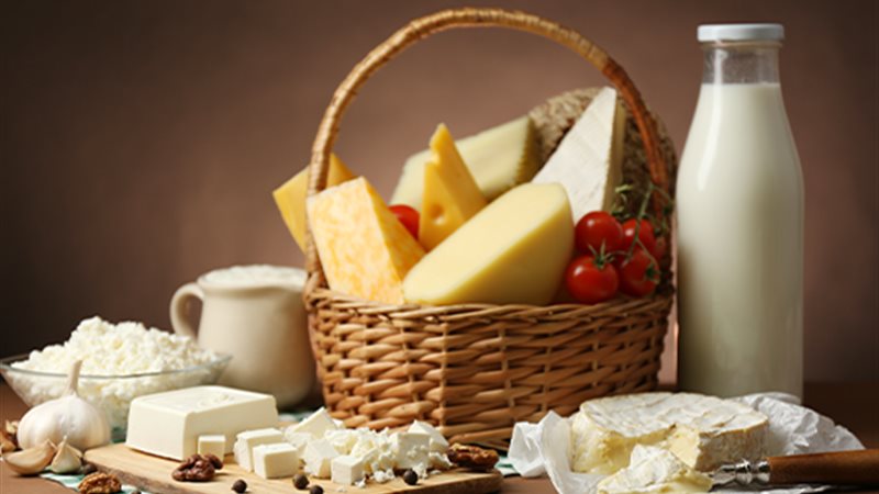 منتجات الألبان