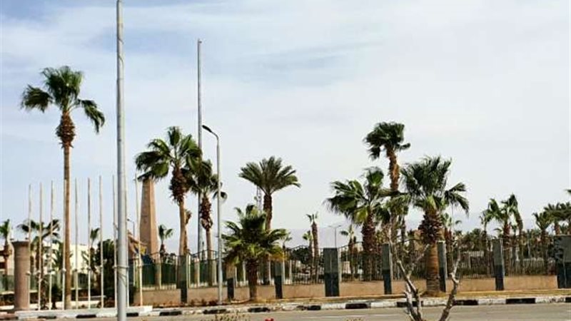 نشاط رياح 