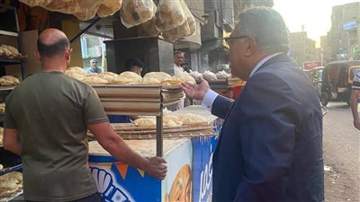 محافظ الدقهلية يأمر برفع القمامة وإزالة الإشغالات منية سمنود خلال 24 ساعة