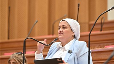 لخدمة التصدير وجذب الاستثمارات.. اقتراح برلماني باستكمال طريق مجمع الرمان بأسيوط